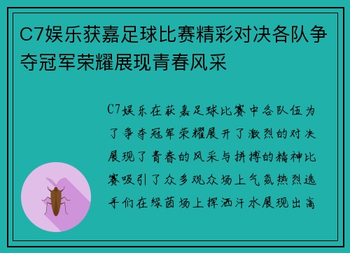 C7娱乐获嘉足球比赛精彩对决各队争夺冠军荣耀展现青春风采